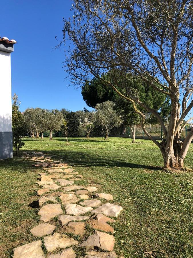 Homestay Casa Do Horizonte *