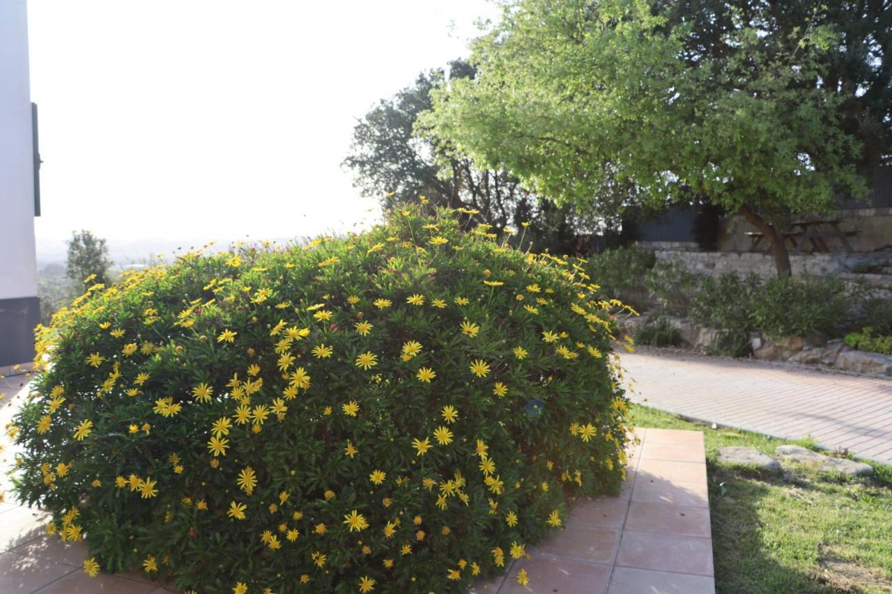 Casa Do Horizonte Homestay
